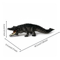 Hand-Painted Crocodile Model Reptile Growth Cycle Toy for Classroom