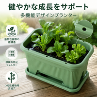 Rectangular Planter, Flower Pot, 50cm, Deep Type, 33L, Made of Polypropylene Resin, For Home Gardening & Balcony Gardening, With Drainage Filter Net & Tray