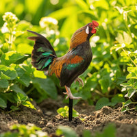 Garden Stake with Cockerel Acrylic Cockerel with Stake Chicken Yard Art Double-Sided Colorful for Gardeners, Lawn, Flower Bed