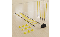 Versatile Agility Ladder Set Portable Soccer Training Equipment Adjustable Metal Stakes Sturdy for Athletes, Coaches