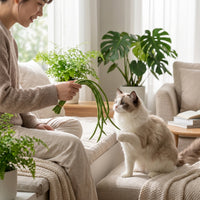 Interactive Cat Teaser with Bean Pods Lightweight Cat Teaser Wand Toy Natural Long-Lasting for Indoor Play, Bonding Time