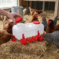 Ground-Standing Chicken Waterer with Cups Weight-operatedFed Automatic Poultry Drinker Large Poultry Waterer Easy-Install for Ducks, Geese, Farm