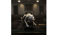 Wolf Figurine Realistic Wolf Figure Detailed for Collectors