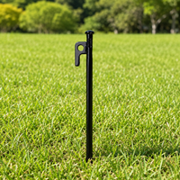 tent stakes