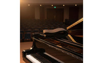Pure Wool Grand Piano Sheet Rack Cover Gold Velvet Piano Music Stand Felt Anti Wear Self-Adhesive Felt Strip Dustproof