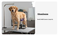 Long-Lasting Dog Grooming Stand Heavy Duty Pet Standing Aid Easy to Assemble No-Sit Haunch Holder Portable for Home Groomers, Beginners