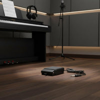 Sturdy ABS Material Universal Sustain Pedal Non-Slip Bottom Electronic Piano Damper Pedal for Keyboardists, Pianists
