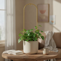 Climbing Plant Trellis Arched Metal Plant Support Tall Climbing Trellis for Planter
