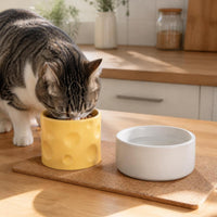 Ceramic Pet Bowl for Cats and Dogs, Large Capacity Food and Water Dish, Anti-Tip Design