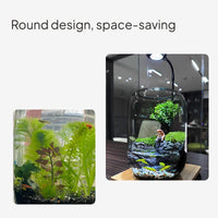Desktop Glass Fishbowl Set, Mini Betta Aquarium Habitat