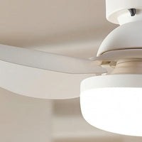 Screw-in Socket Fan Light Detachable Blades Ceiling Fan Light Wireless Controller Controlled 6-Blade for Bedroom, Dining Room