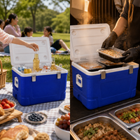 Commercial Insulated Cooler Box for Food Delivery, Catering, Outdoor Use