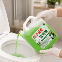 toilet cleaner