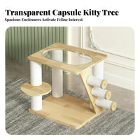 Transparent Lounge Pod Multi-Level Feline Tree with Space Capsule Sisal Scratching Posts Multi-Level Feline Climber Sturdy & Stable Pet Furniture Sturdy Construction for Apartment Dwellers, Living Room, Indoors, Home
