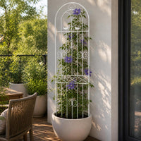 Wrought Iron Garden Trellis for Climbing Plants, Roses, Clematis, and Vines