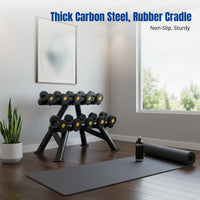 Dumbbell Rack, Commercial Home Gym Storage, Thick Steel, Double Tier