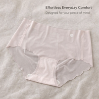 Underwear Women Breathable Knickers Multipack with Ice Silk Quick Dry Material, Seamless Panties for with Gusset