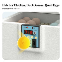 Water Bed Egg Hatchery Constant Temperature Small Egg Hatcher Air Circulation System Household Fowl Hatchery for Hobbyists, Beginners, Classroom