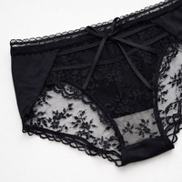 Underwear Women with Silk Gusset Lining for Daily Use, Ladies in Nylon Lace Material, French Knickers for Everyday Wear