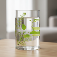 Thickened Large Small Glass Fish Tank Living Room Floor-Standing High Cylindrical Round Vertical Aquarium