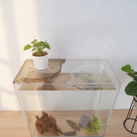 Drill-No-Drill Installation Aquatic Aquarium Corner Shelf Polished Rounded Edges Aquarium Corner Shelf Aquatic Aquarium Top Organizer Long-Lasting for Aquascaping