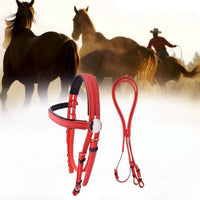 PVC Non-Slip Bridle with Bit for Horse