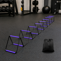 agility ladder