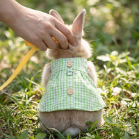 Bunny Costume Cat Clothes Full Body Outfit, Pet Harness Set with Leash, Cute Pet Costume for Photography, Japanese Korean Style Walking Gear