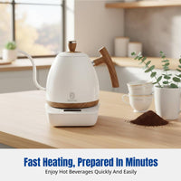 Temperature Control Gooseneck Kettle, Stainless Steel, Adjustable Thermostat, Electric Smart Kettle for Coffee and Tea