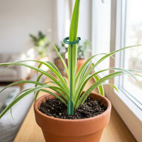 Indoor Plants and Outdoor Plants Support, Single 58cm Rod Sturdy Garden Stakes, 3mm Diameter Plant Sticks, Stakes for Tall Potted Plants Only