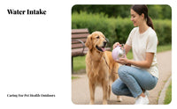 Stainless Canine Bottle Water Bottle Food-Grade Materials Portable Lightweight for Dogs, Outdoor, Hiking, Walking