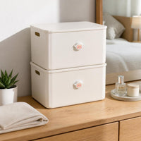 Cartoon Storage Box with Lid for Snacks, Toys, and Sundries