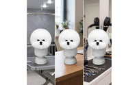 Pet Grooming Practice Head Dog Grooming Mannequin with Hair Smooth