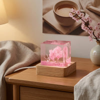 Whimsical Resin Night Light Warm Resin Cube Light Compact Lamp with Wooden Base Dreamy for Bedroom