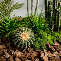 artificial plant arrangement