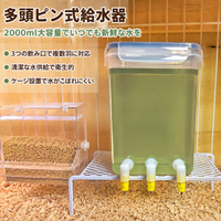 Integrated Pet Feeder and Waterer, Pet Feeder for Multiple Pets, Suitable for Long Trips & Travel, Automatic Feeder