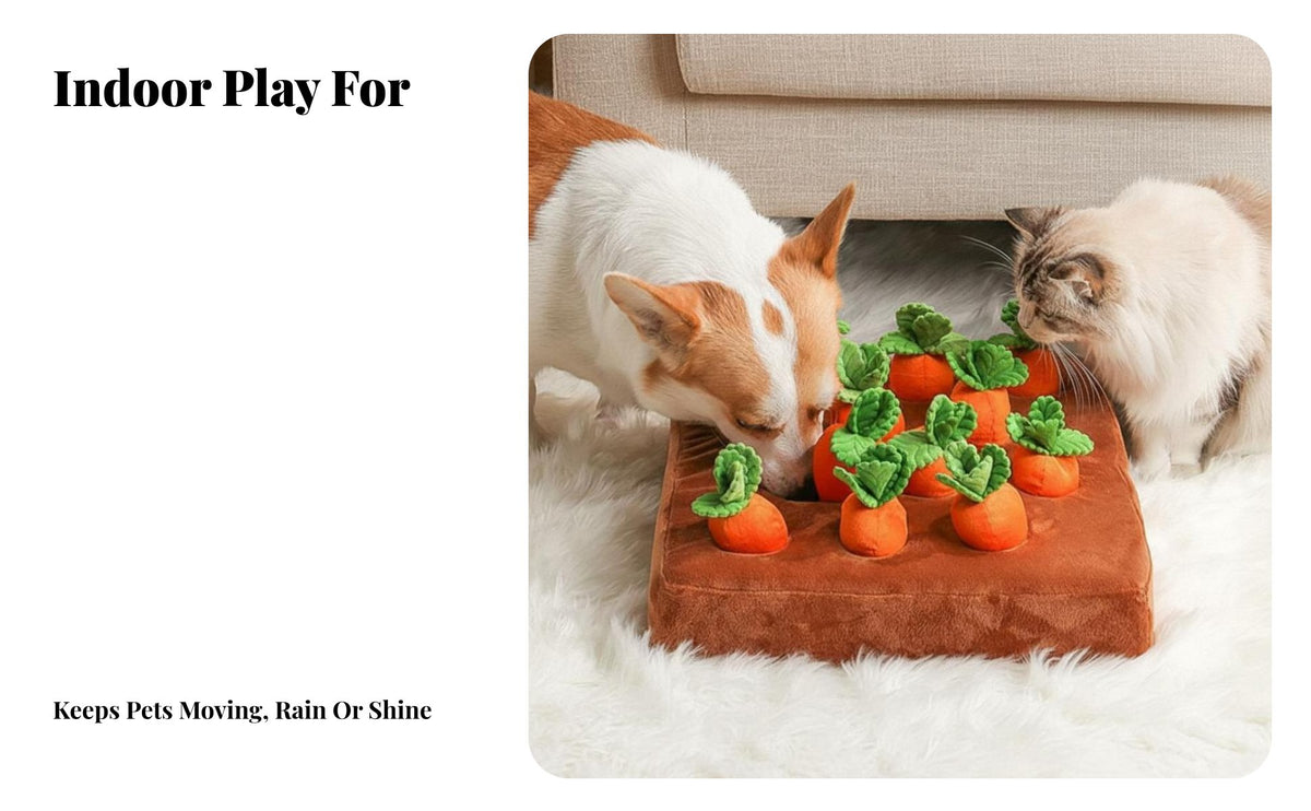 Carrot Farm Dog Toy Squeaky Carrots Dog Carrot Farm Toy Bite-Resistant Pet Supply for Dogs, Young Dogs, Home Alone