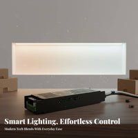 Smart COB Light-Emitting Component Strip 3 Color Temperatures COB Light-Emitting Component Strip Light Tunable Light Tone Tape