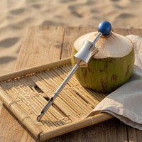 Manual Coconut Tool Pointed Tip Stainless Steel Opener Ball Handle for Kitchen