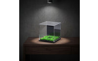 Transparent Acrylic Display Cube with Grass Base Dust-Resistant Display Box with Panel Lightweight Showcase Modern for Hobbyists