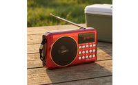 Carry Strap Multi-Band Bluetooth Radio Display Window Home Electronics USB Cable Sound Gadget Battery Powered