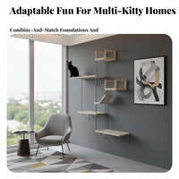 Window Suction Holder Elevated Rest Surface Mountable Feline Furniture Space Saving Feline Climber for Indoors, Living Room, Bedroom