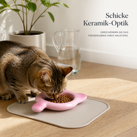 Ceramic Cat Food Bowl with Handle, Anti-Vomiting, Anti-Black Chin, Shallow Dish for Kittens and Small Pets