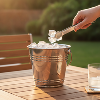 Stainless Steel Ice Bucket with Handle for Bar, Parties, and Snacks