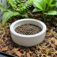 Easy Clean Reptile Bowl with Raised Rim, Ceramic Reptile Bowl for Mealworms, Gecko Feeding Dish for Small Reptiles, White Finish