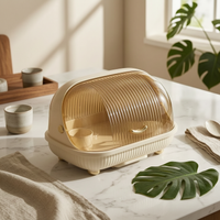 Dish Drainer with Lid Removable Drainboard Covered Dish Drainage Rack Fast Draining Covered Tableware Drainer