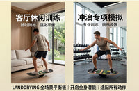 Land Drying Professional Rotating Balance Board for Skateboard Surf Training