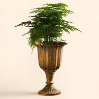 European Pedestal Vase Ornate Fluted Shape Vintage Distressed Vase Stable Base Interior Feature for Hotel, Banquet