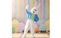Hare Costume with Headpiece Furry Hare Costume Full-Body Bunny Suit for Children, Young Children