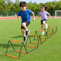 agility ladder